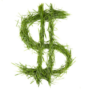 dollar